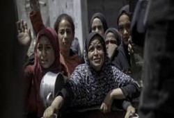 "تشاتام هاوس" || غزة: الحرب والجوع والسياسة