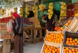 العنب بـ 140 جنيهًا.. الفاكهة تخاصم مائدة المصريين بعد جنون أسعارها