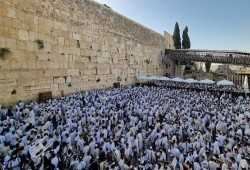 آلاف المستوطنين يقتحمون المسجد الأقصى وسط طقوس دينية واستفزازات عنيفة