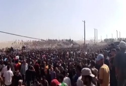 شاهد|| فخ المساعدات... انهيار خطة التوزيع الصهيوأمريكية في رفح تحت ضغط الجوع وهجوم الحشود