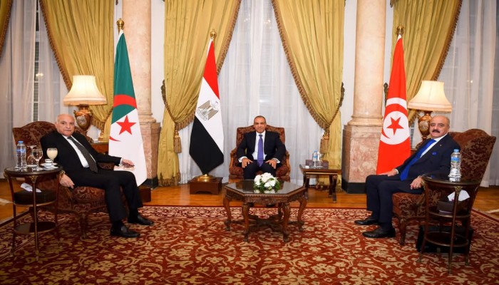 السيسي وليبيا.. دعم معلن للحل السياسي وتدخل ميداني مثير للجدل