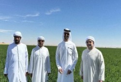 اضحك مع العساكر.. بمياه وأراضي مصرية..."الظاهرة الإماراتية" أكبر مورد للقمح المحلي لحكومة السيسي!