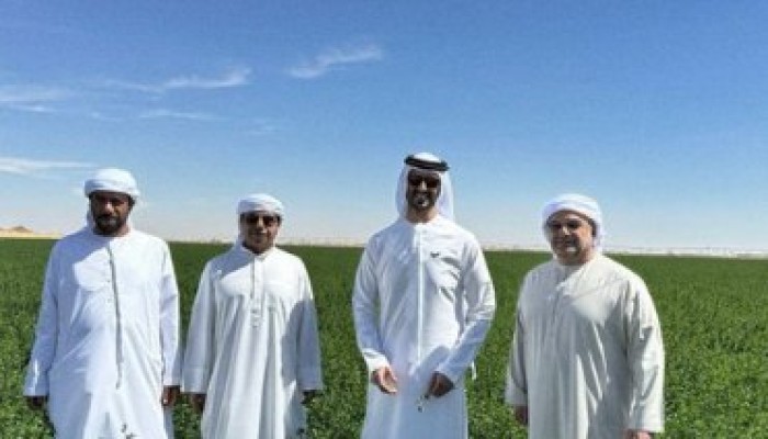 اضحك مع العساكر.. بمياه وأراضي مصرية..."الظاهرة الإماراتية" أكبر مورد للقمح المحلي لحكومة السيسي!