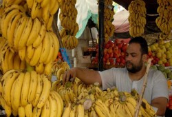 صدمة... أسعار الغذاء و الفاكهة ترتفع 30% بعد زيادة تضخم مايو لـ16,5%