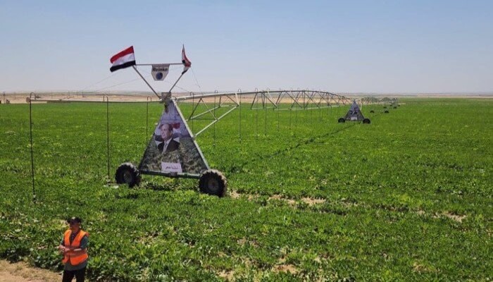 كيف أصبح "مستقبل مصر" إمبراطورية استثمارية بلا رقابة؟