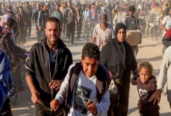 الإيكونوميست || مؤامرة أم فشل أم حل؟ مؤسسة المساعدات في غزة