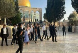 رغم إغلاقه بوجه الفلسطينيين.. عشرات المستوطنين يقتحمون باحات الأقصى اليوم