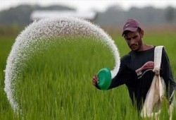 الزراعة المصرية تواجه المجهول بعد ارتفاع الأسمدة 40% وإغلاق المصانع