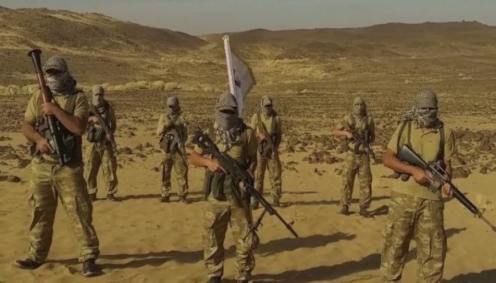 «فزاعة حسم».. المصريون يسخرون من فيديو مفبرك من لجان السيسي ...(شاهد)