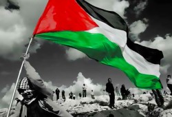 فلسطين هي القضية المركزية