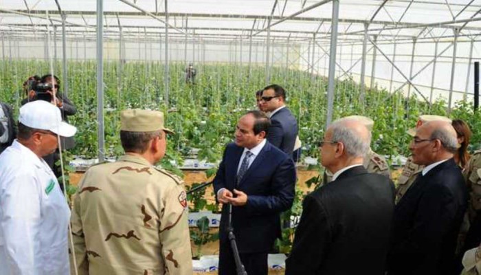 من الزراعة إلى "مستقبل مصر".. أراضٍ حكومية بأيدي القوات الجوية ومقار وزارية في قبضة "الصندوق السيادي"