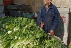 فوائد الخس في الصيف.. أفضل الخضراوات لترطيب الجسم