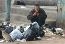 بالأرقام... غلاء أسعار الغذاء يهدد صحة المصريين بأمراض سوء التغذية