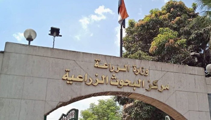 "مستقبل مصر" أم مستقبل البحث العلمي؟! .. كيف نزع الجيش أراضي "البحوث الزراعية"؟