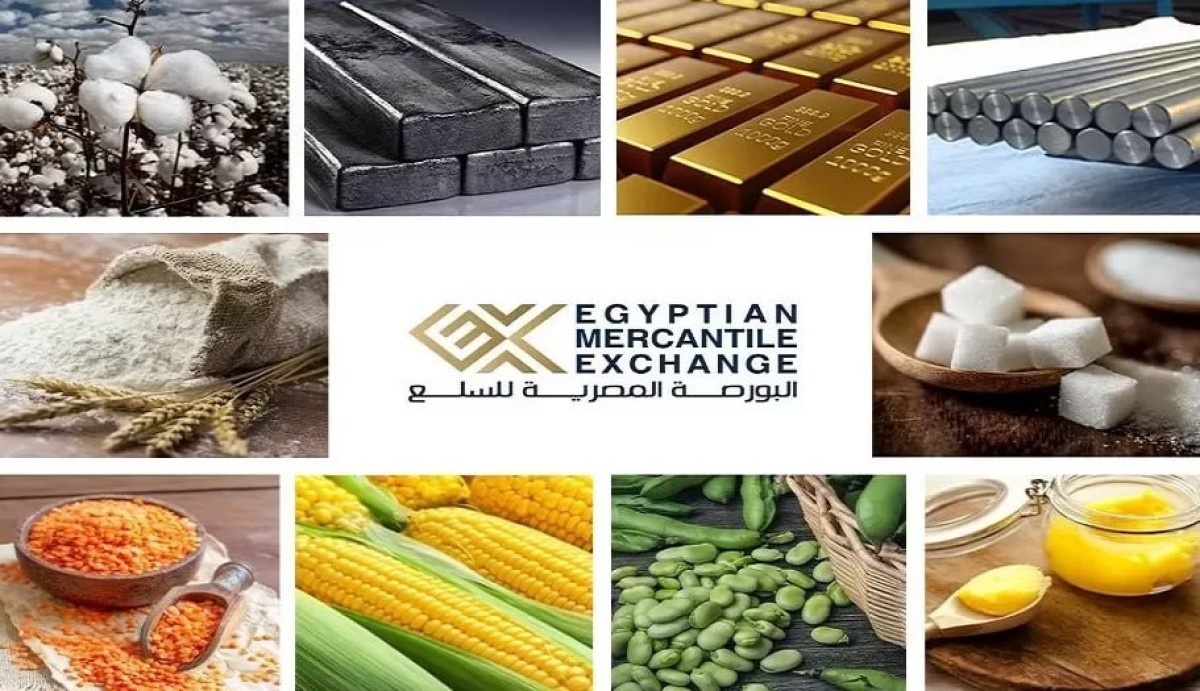 البورصة السلعية تتهاوى... مبيعات تنهار بنسبة 43% وتحركات لتحويلها إلى بورصة عقود آجلة