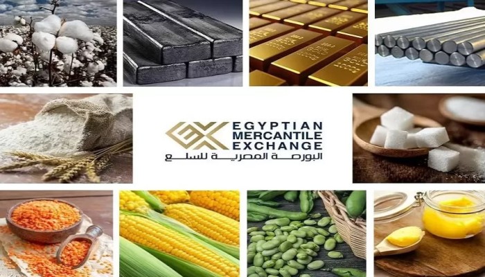 البورصة السلعية تتهاوى... مبيعات تنهار بنسبة 43% وتحركات لتحويلها إلى بورصة عقود آجلة