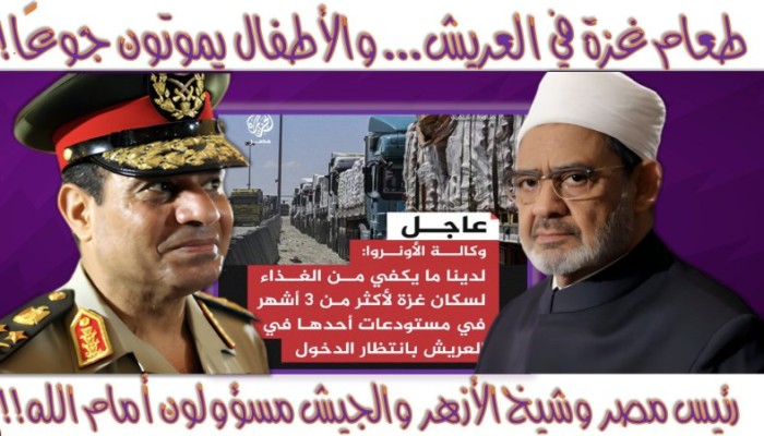 خبراء ومحللون يهاجمون نظام السيسي لمنعه إدخال مساعدات الأونروا بالعريش إلى غزة