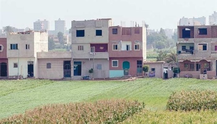 استيلاء السيسي على 75% من مساحة أراضي التصالح .. المجاعة قد تسبق ثورة الفلاحين