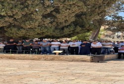 رغم اعتقال الاحتلال لخطيبه...40 ألفًا يؤدون صلاة الجمعة في المسجد الأقصى