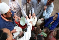 فيديو || أهالي عزبة الصعايدة بالمنيا يصرخون من انقطاع المياه وانتشار الفشل الكلوي