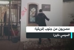 لفتح "رفح".. شباب مصريون يحاصرون السفارة المصرية في جنوب إفريقيا (فيديو)