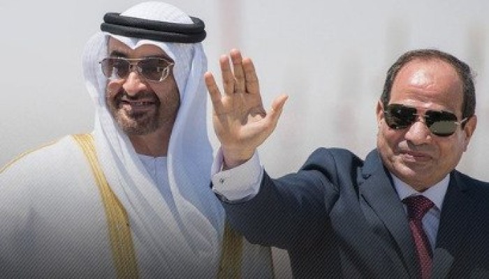 بمساحة 10 آلاف فدان ..الإمارات تستحوذ على مجمع زراعي جديد بمصر!