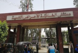 أزمة العلاج النفسي.. قرار حكومي يرفع الرسوم ويشعل الجدل حول حق العلاج المجاني