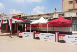تقارير: التصويت بمسرحية الشيوخ لم يتجاوز 3% وإبطال نحو نصف الأصوات عقاب لـ"السيسي"