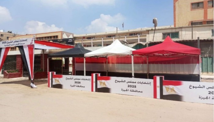 تقارير: التصويت بمسرحية الشيوخ لم يتجاوز 3% وإبطال نحو نصف الأصوات عقاب لـ"السيسي"