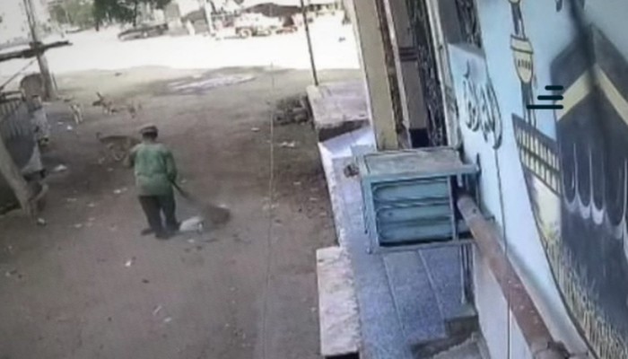 شاهد|| ضغوط العمل تنهي حياة عامل نظافة بأحد شوارع الشرقية والكلاب تنهش جثمانه