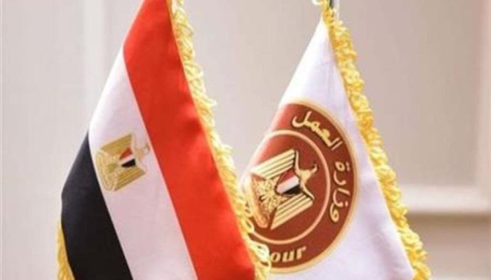 وزارة العمل تضيق على النقابات المستقلة باشتراط اعتماد جهة العمل والتأمينات بالأوراق الرسمية