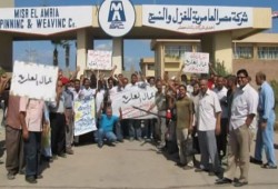 إضراب “العامرية للغزل” يتواصل رغم الضغوط الأمنية وعروض الإدارة الهزيلة