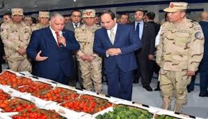 لعنة الهيمنة العسكرية على المناصب المدنية… كيف سلخ السيسي مصر عن أهلها؟