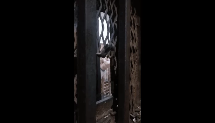 وقائع وفاة "وليد طه" و "حازم فتحي" تُعيد جدل إفلات شرطة السيسي من العقاب