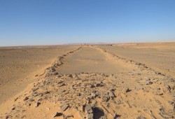 مستصلحو أراضي صحراء المنيا يُجبرون على توقيع "حق انتفاع" لأراضيهم التي استصلحوها بأموالهم لصالح الجيش!
