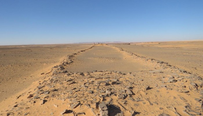 مستصلحو أراضي صحراء المنيا يُجبرون على توقيع "حق انتفاع" لأراضيهم التي استصلحوها بأموالهم لصالح الجيش!