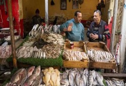 قفزة جديدة في أسعار الأسماك والمأكولات البحرية بسوق العبور