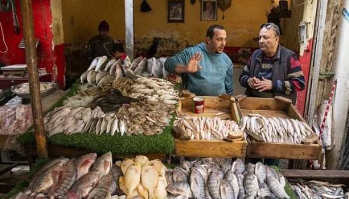 قفزة جديدة في أسعار الأسماك والمأكولات البحرية بسوق العبور