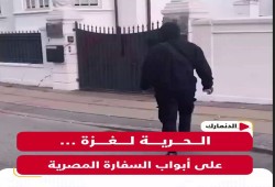 فيديو|| شاب مصري يخط "الحرية لغزة" على أبواب السفارة المصرية في الدنمارك