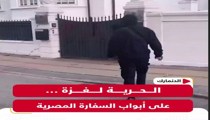 فيديو|| شاب مصري يخط "الحرية لغزة" على أبواب السفارة المصرية في الدنمارك