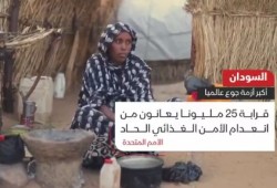 السودان على حافة المجاعة.. 25 مليون شخص يواجهون انعدام الأمن الغذائي بسبب حرب بلا نهاية