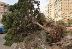 الحكومة تبيع وعودًا.. حين يتحدث مدبولي عن “مساحات خضراء” ويكذبه الواقع