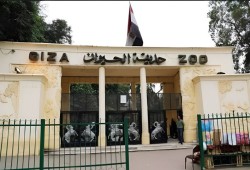 ثالوث "الجيش- الإمارات - شركة "حدائق الأمريكية" ودورهم بقتل "حيوانات الجيزة" وتدمير "الأورمان"