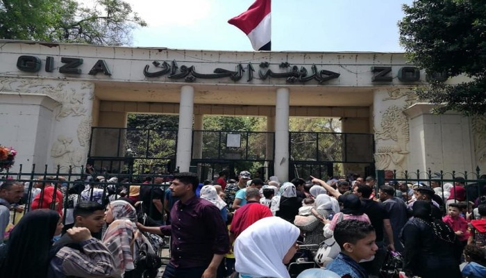 تعثر مشروع التطوير وزيادة التذكرة لـ100 جنيه وقتل الأسود والنمور... حديقة حيوان الجيزة مغلقة حتى إشعار آخر
