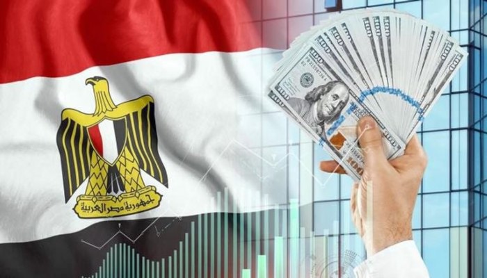 وزير المالية يعلن عن 4 طروحات دولية بـ 4 مليارات دولار... هل تنقذ مصر أم تغرقها في الفوائد؟