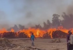 فيديو || قلعة الكتان في "شبرا ملس" بالغربية تحترق والأهالي يصرخون دون جدوى
