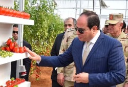 غلاء فاحش يضرب الأسواق المصرية بعد شهر من مبادرة الحكومة لخفض الأسعار