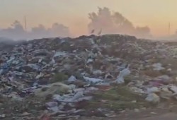 نجاح مزيف... جبال القمامة تغزو دسوق بعد حملات إعلامية وتصوير مسئولين يحملون أكياس القمامة (فيديو)