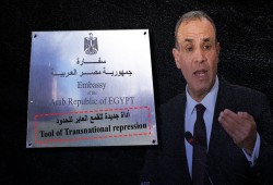 20 منظمة حقوقية تتهم مصر بتحويل سفاراتها إلى "أدوات قمع عابر للحدود"