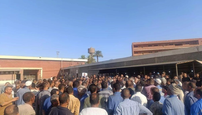 ضغوط وتهديدات تنهي إضراب "سكر دشنا".. واحتجاجات "إدفو" و"كوم أمبو" مستمرة لليوم الـ20